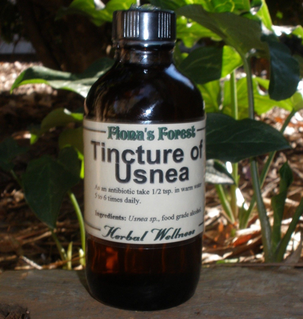 Comprehensive Guide on the Benefits of Cleavers Tincture Supplements